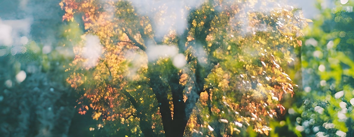 Bannerlandingpage V3