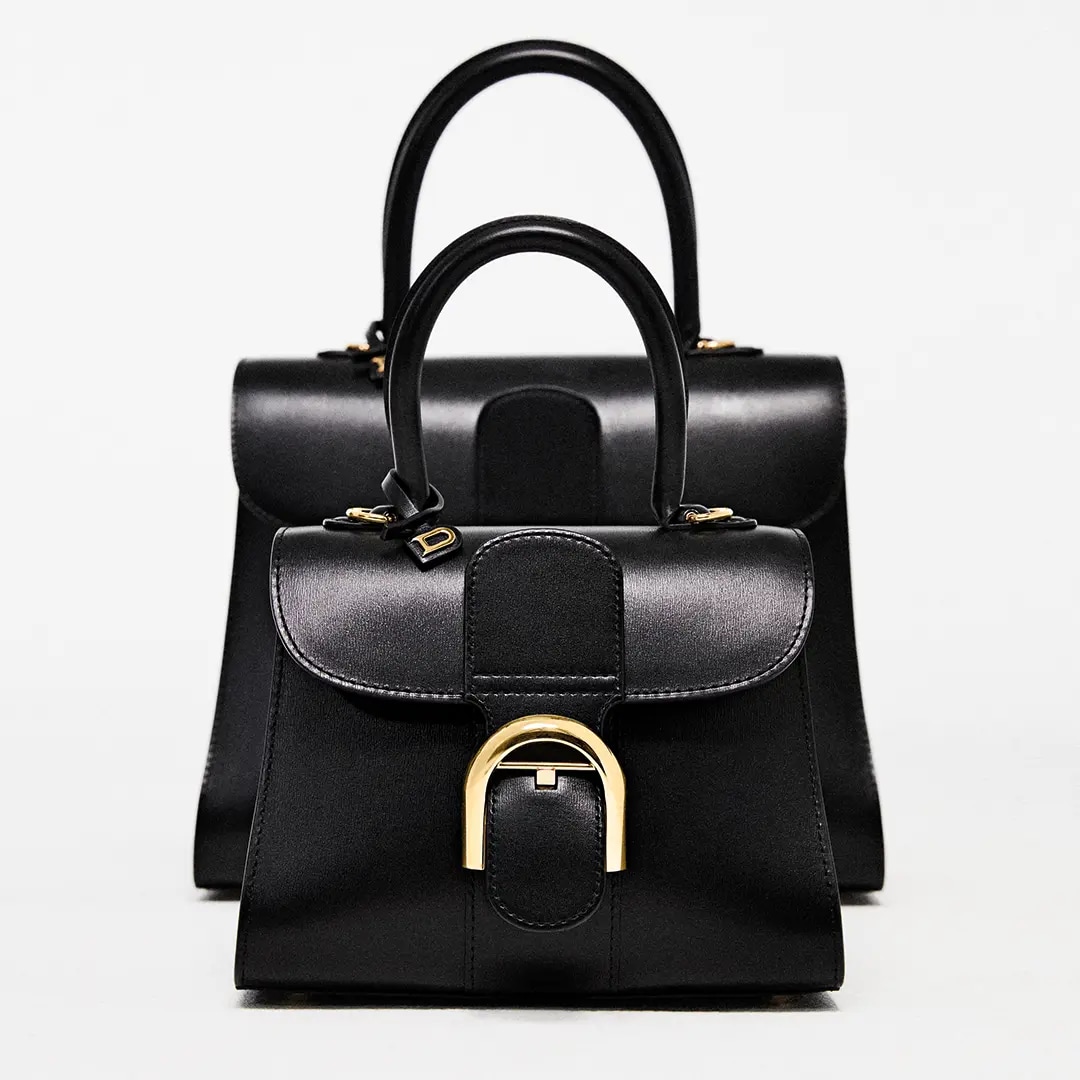 Delvaux Brillant Mini And Brillant PM Box Calf Black