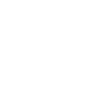 Vhernier logo